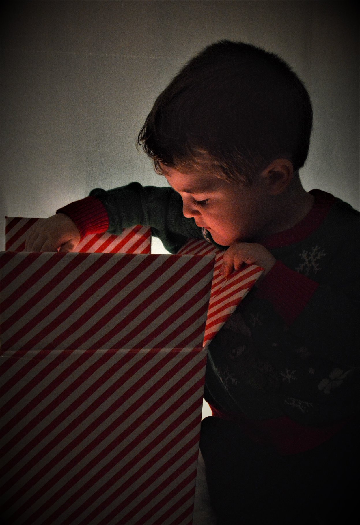 christmas portrait