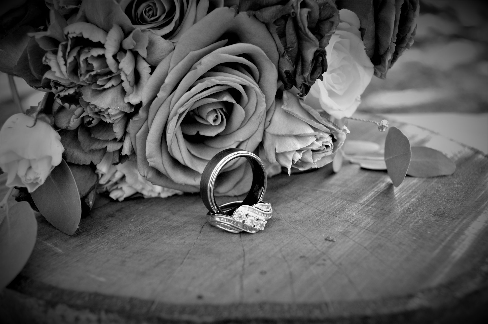 photo of bride's ring